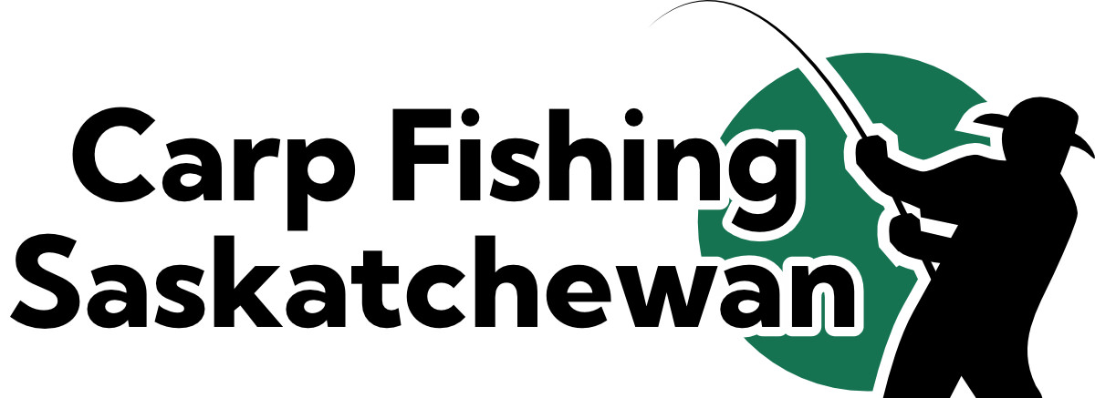 Carp Fishing Saskatchewan